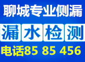 �ĳǲ�©.png